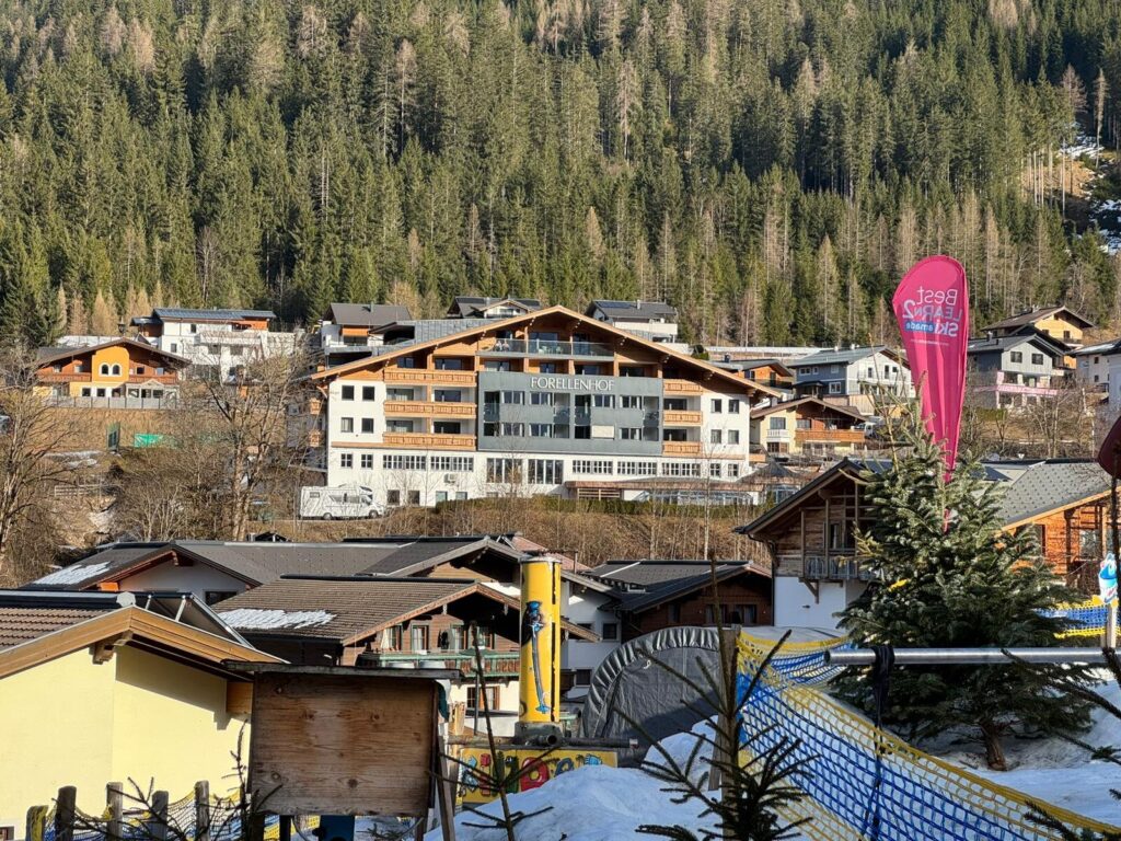 Uitzicht over het dorp Flachau met chalets en bossen